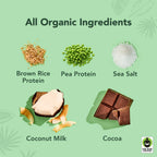 Chocolate Sea Salt Drinks - 4-Pack - Plant-Based Fuel for Busy Days