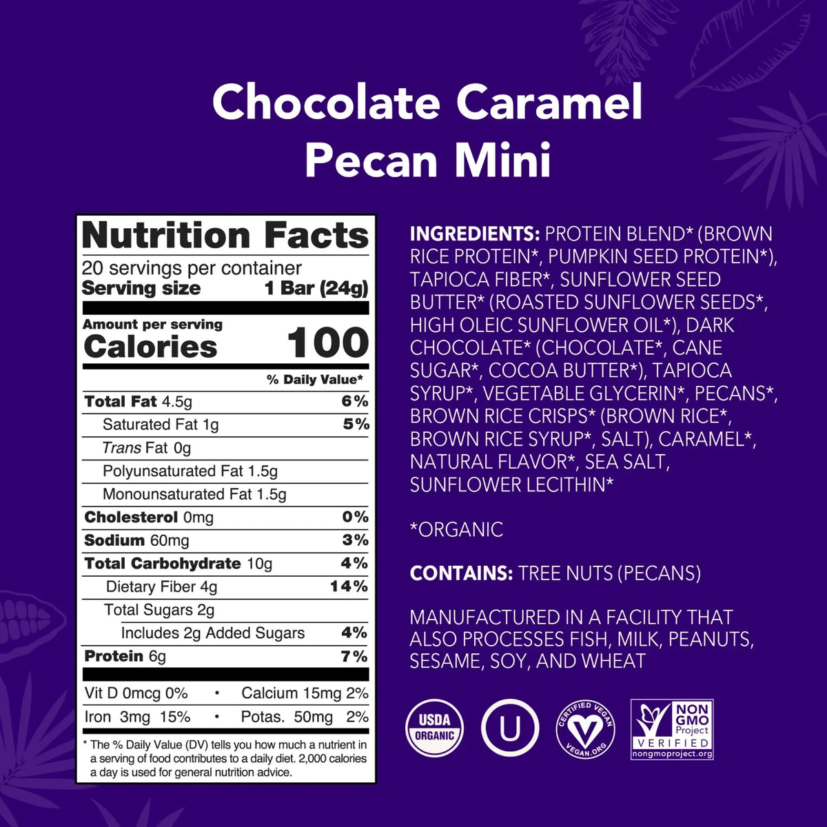 Chocolate Caramel Pecan - Mini Bars - Plant-Based Fuel for Busy Days I0